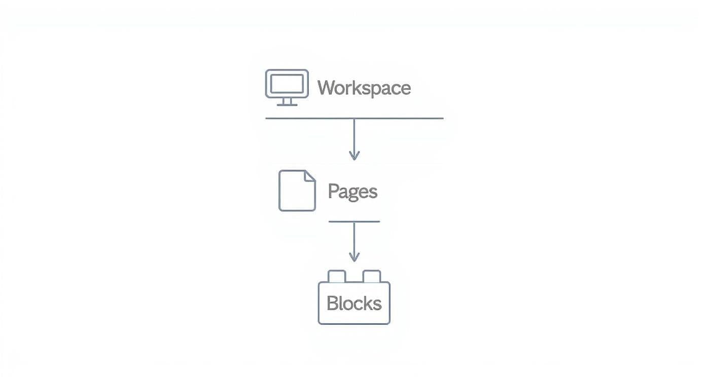 Infographic about notion definition
