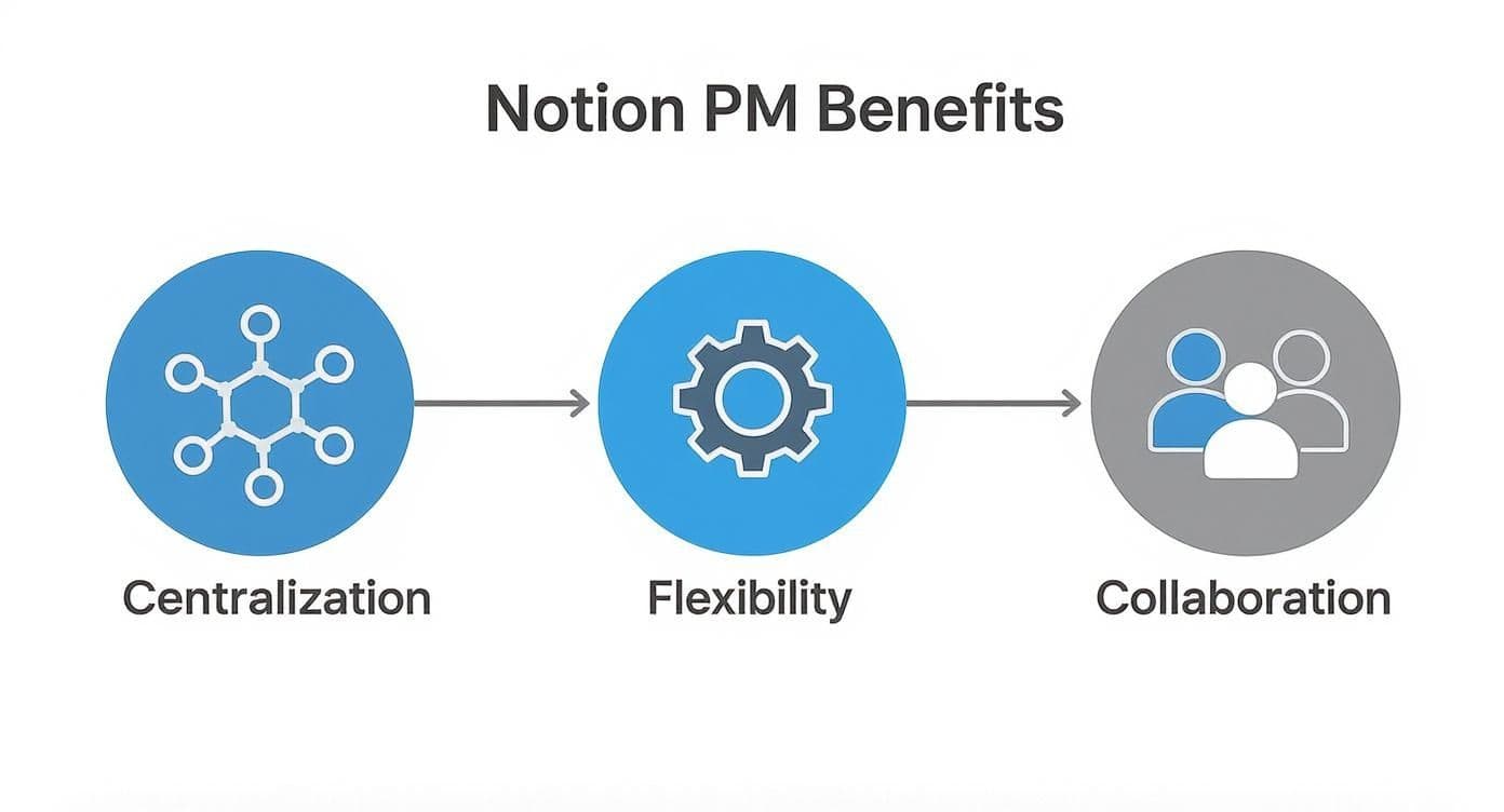 Infographic about notion template for project management